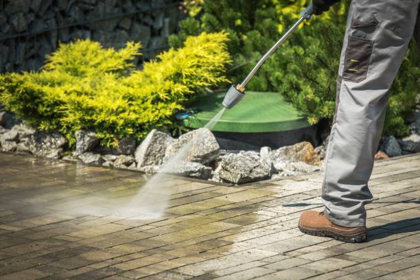 Best Driveway Pressure Washing  in Cotati, CA