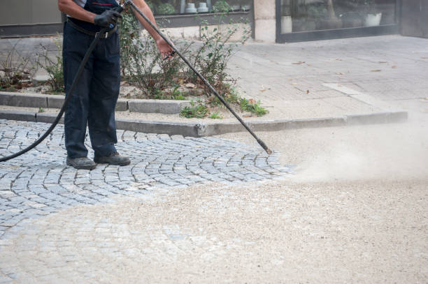 Best Factory Floor Cleaning  in Cotati, CA